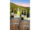 Weine des Piemont - Paket mit 6 Flaschen
