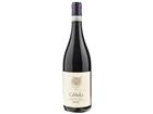 Ca Viola Barbera d Alba Brichet 2023