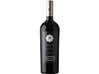 Amplus One Carmenere 2022 - Viña Santa Ema